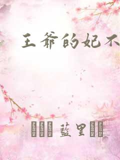 王爷的妃不是妃