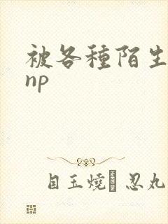 被各种陌生人 np