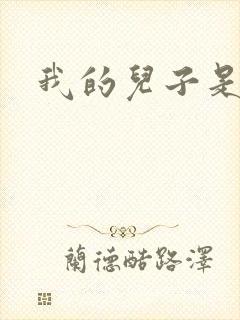 我的儿子是雍正