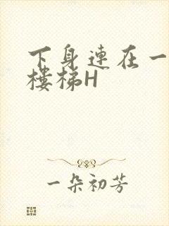 下身连在一起上楼梯H