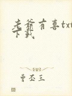 老爷有喜txt下载