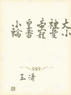 小皇帝被大臣们轮番宠爱小说