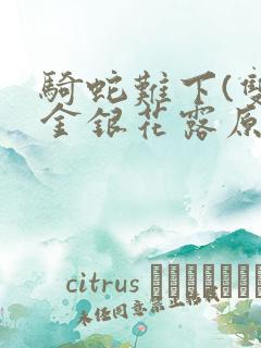 骑蛇难下(双)金银花露原文