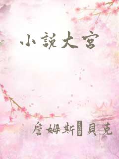 小说大宫