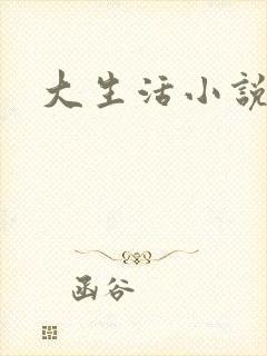 大生活小说