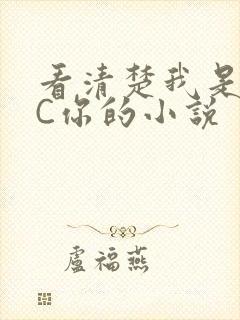 看清楚我是怎么C你的小说