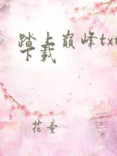 踏上巅峰txt下载