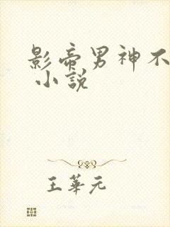影帝男神不节制 小说