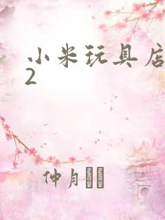 小米玩具店老板2