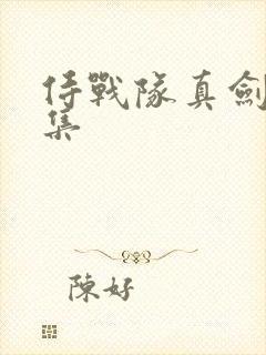 侍战队真剑者全集