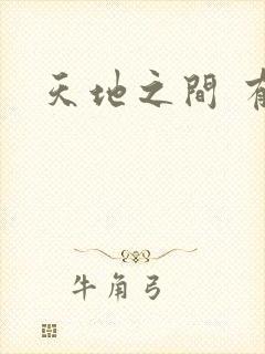 天地之间 有声