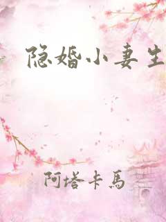 隐婚小妻生个娃
