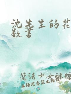 沈先生的花式调数书