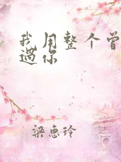 我用整个曾经爱过你