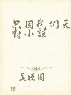 只因我们天生一对小说