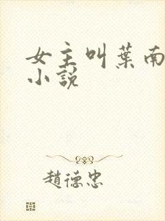 女主叫叶南初的小说