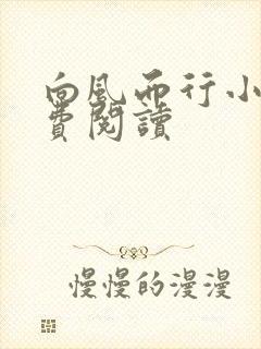 向风而行小说免费阅读