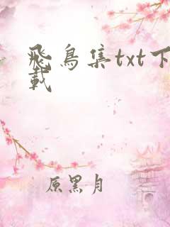 飞鸟集txt下载