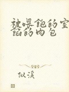 被喂饱的室友爆馅的肉包