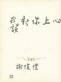 我对你上心了小说