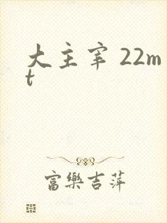 大主宰 22mt