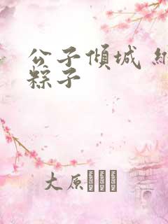 公子倾城 维和粽子