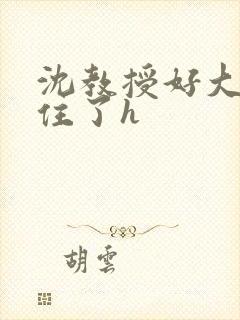 沈教授好大含不住了h