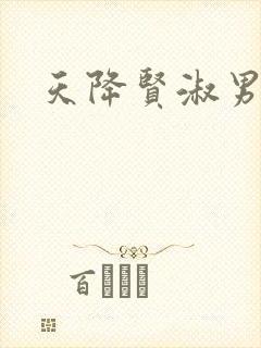 天降贤淑男小说