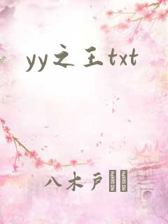yy之王txt