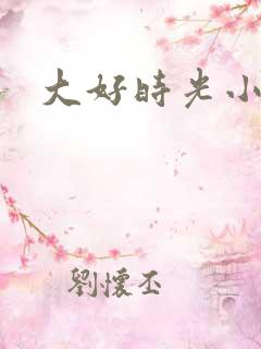 大好时光小说