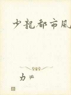 少龙都市风流行