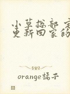 小草总部 定期更新回家的路