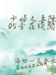 少妇人妻陈艳105章在线阅读