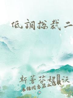 低调总裁二手妻