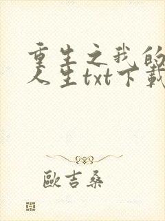 重生之我的书记人生txt下载