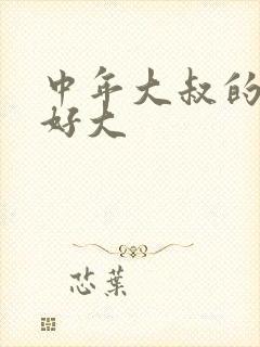 中年大叔的包包好大