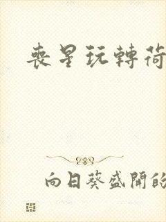 丧星玩转荷里活