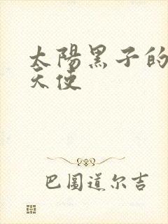 太阳黑子的折翼天使