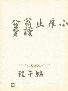 公翁止痒小说免费读
