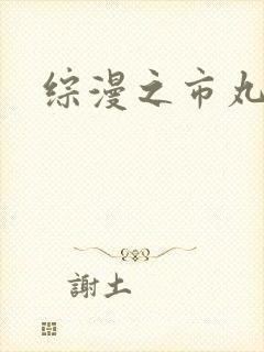 综漫之市丸银