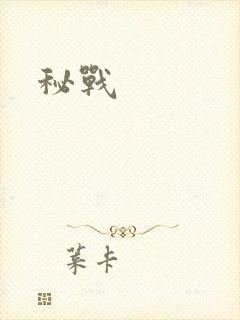 秘战