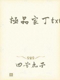 极品家丁txt