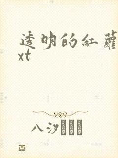 透明的红萝卜txt