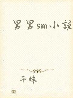 男男sm小说