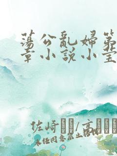 荡公乱妇第51章小说小莹