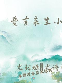 爱有来生小说