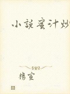 小说蜜汁炒鱿鱼