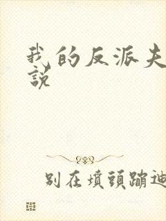 我的反派夫君小说