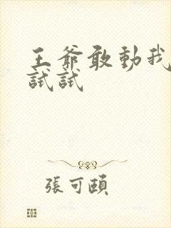 王爷敢动我妈咪试试
