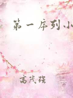 第一序列小说
